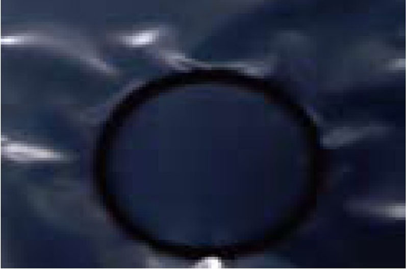 O-Ring FFKM Encapsulado